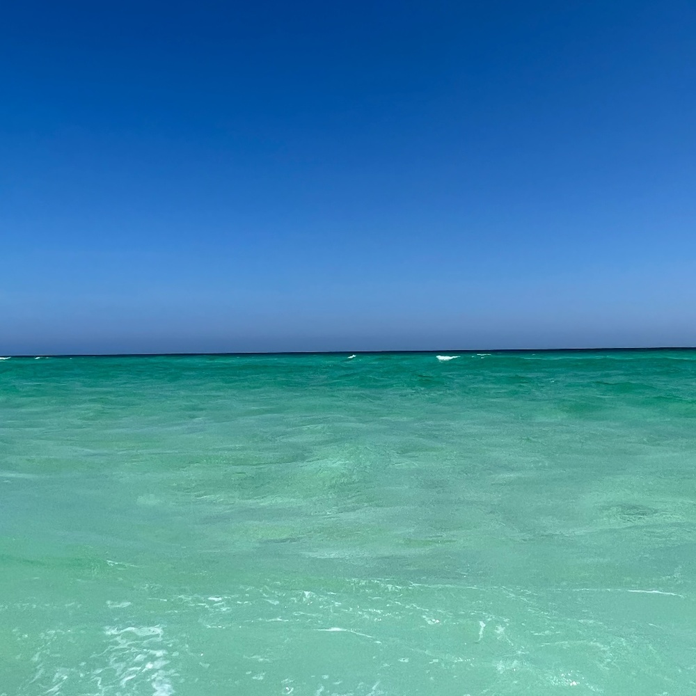 Meet your Posher, Lee